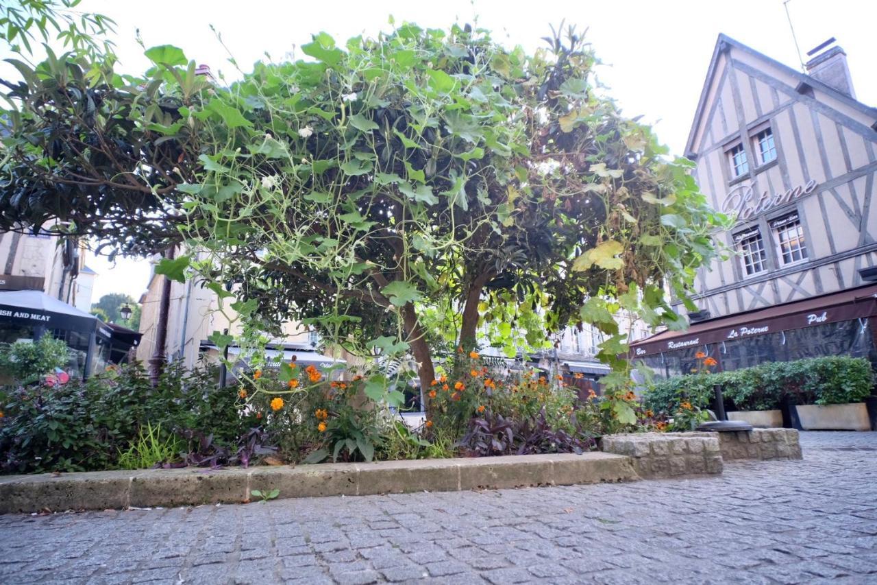 Le Perroquet Fringant, Rue Pietonne Et Quartier Historique Apartment Caen Luaran gambar